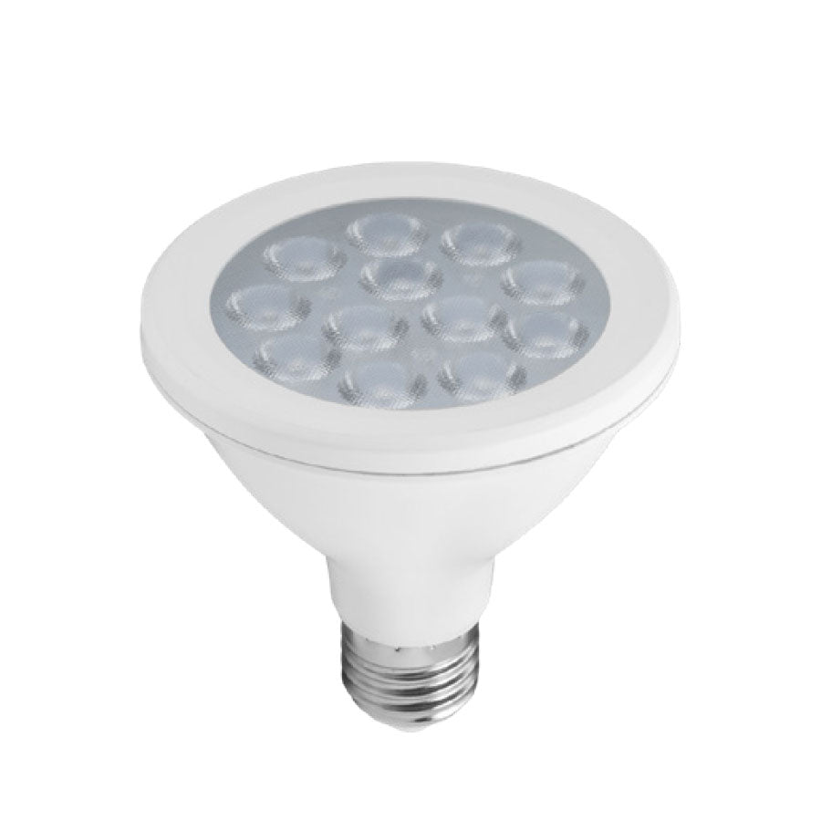Foco LED PAR 30 13w